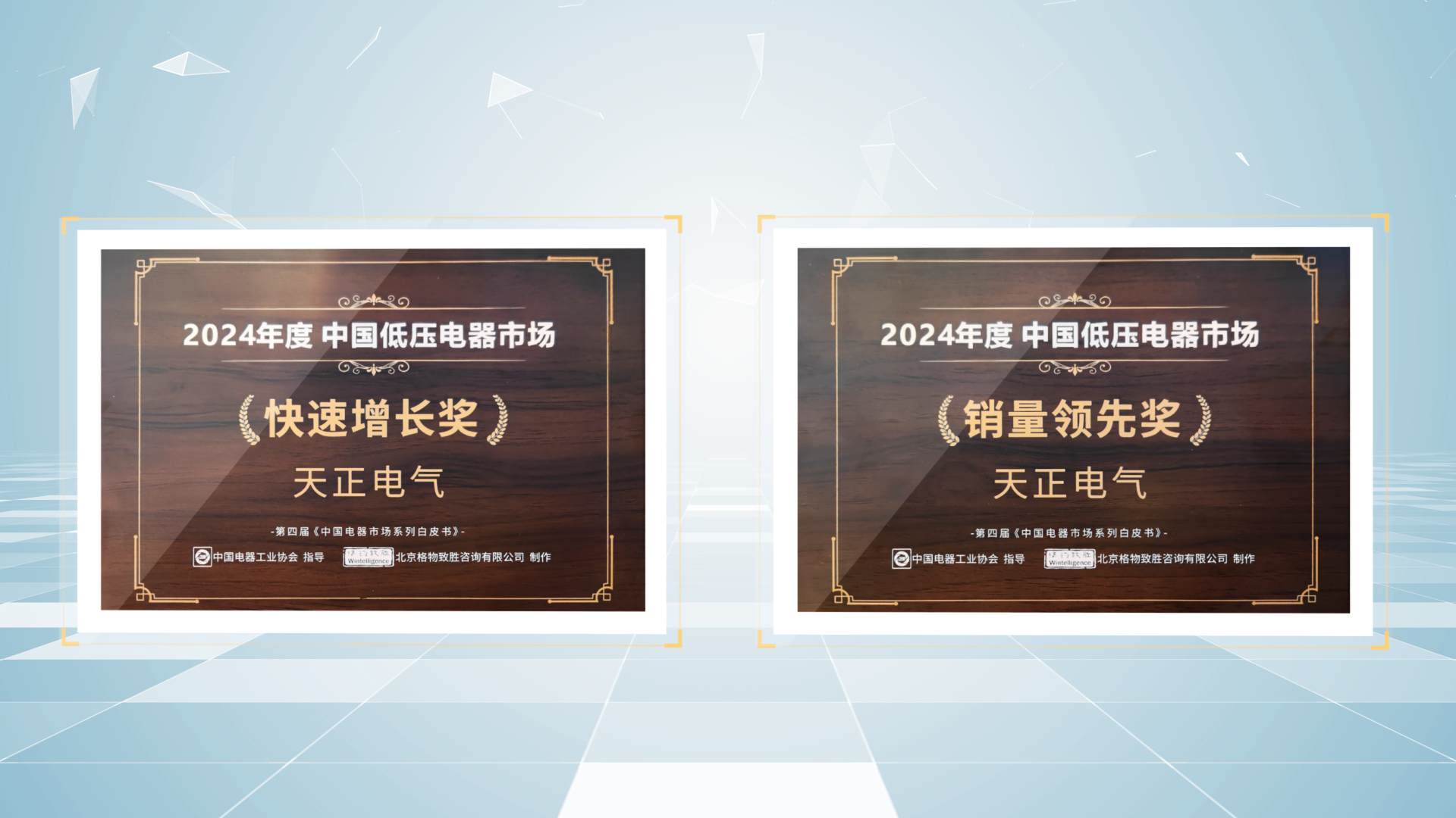 销量领先、快速增长丨pg电子荣膺2项行业年度大奖